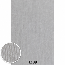HZ09